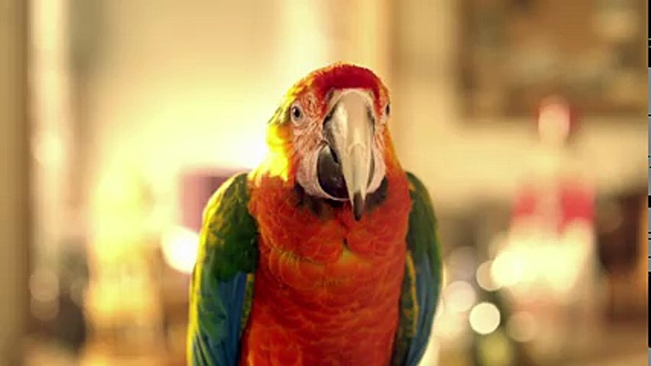 구미출장안마- メ{  카톡line5588 } 070-7733-9262 メ구미 メ출장마사지'20대' メ구미출장안마출장안마코스 メ구미출장안마 メ구미 メ출장마사지-황제 メ구미 メ출장마사지- メ구미 メ콜걸.