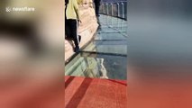 Chinese glass walkway closes after pane shatters