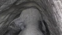Daring method used to rescue elephant trapped in well in Sri Lanka