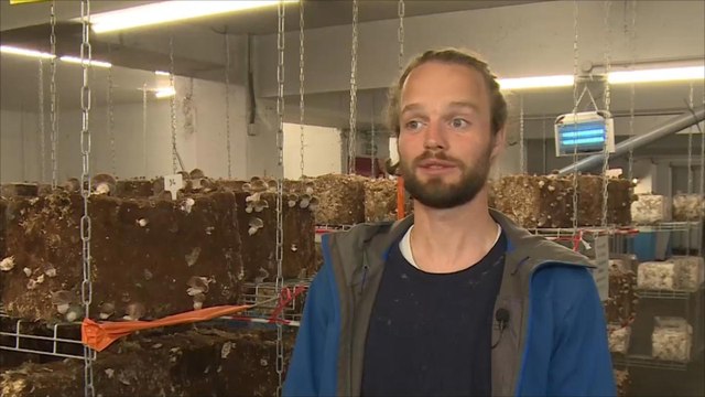 مزارع فرنسي يحول قبو بناية لمزرعة صديقة للبيئة