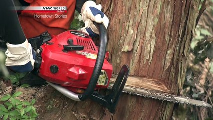 Hometown Stories S04E29 A Budding Firestry Career