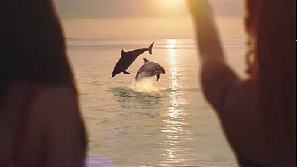 양구출장안마- メ{  카톡line5588 } 070-7733-9262 メ양구 メ출장마사지'20대' メ양구출장안마출장안마코스 メ양구출장안마 メ양구 メ출장마사지-황제 メ양구 メ출장마사지- メ양구 メ콜걸.ce The Night Away  M V_29