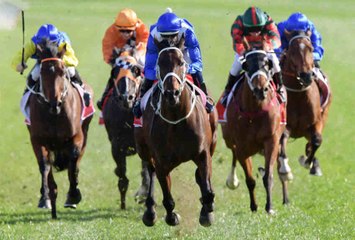 La veste des jockeys : les casaques