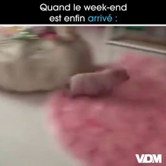 Week-end Week-end Week-end Week-end