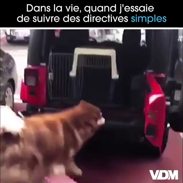 C'est pourtant pas compliqué