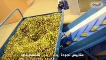 مقاييس جودة زيت الزيتون الفلسطيني ...