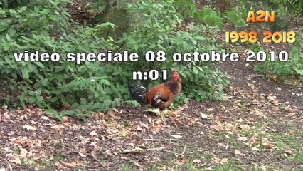 141018 renaisance 081010