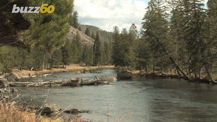 The National Park Service Wants to Help Pick Your Halloween Costume