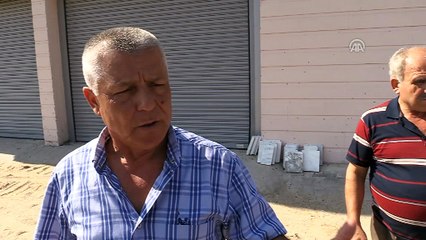 Mahalleyi 'pamuk yaprak kurt'lar istila etti - AYDIN