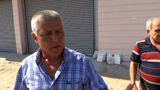 Mahalleyi 'pamuk yaprak kurt'lar istila etti - AYDIN