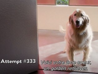 Un film sans fin - Mathieu Potte-Bonneville