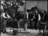 Auguste & Louis Lumière: Maréchal-ferrant (1896)