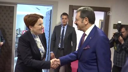 Akşener, Türkiye-Ab Kik Heyetini Kabul Etti