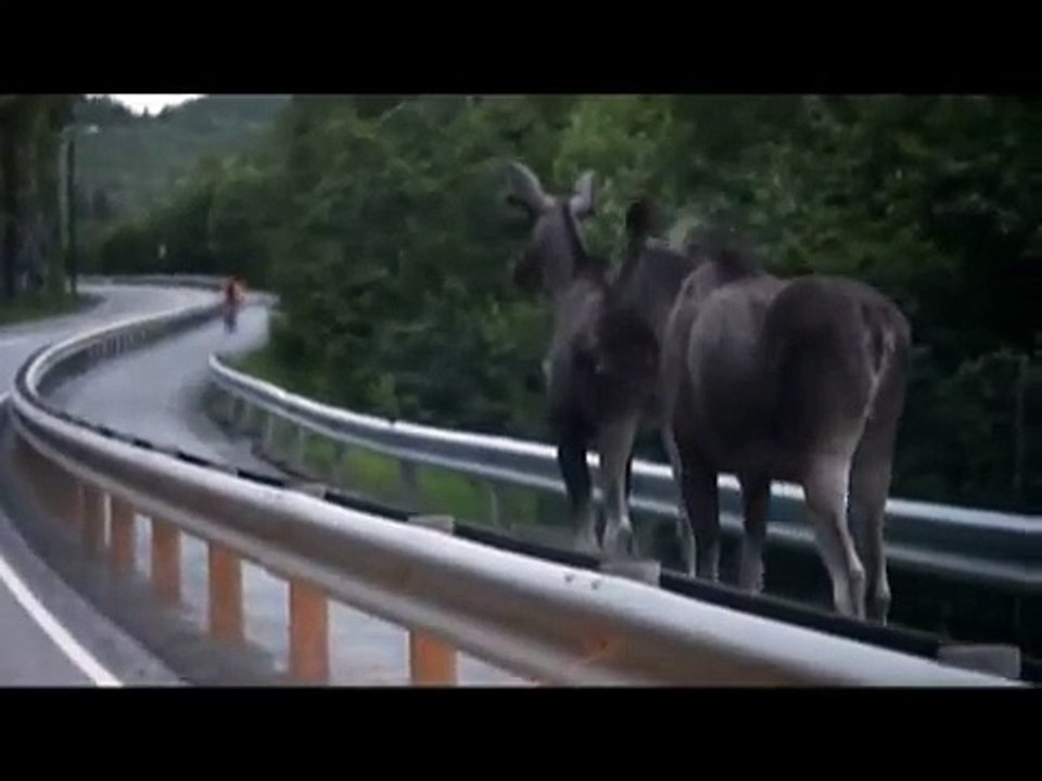 La piste cyclable ça se partage au Quebec