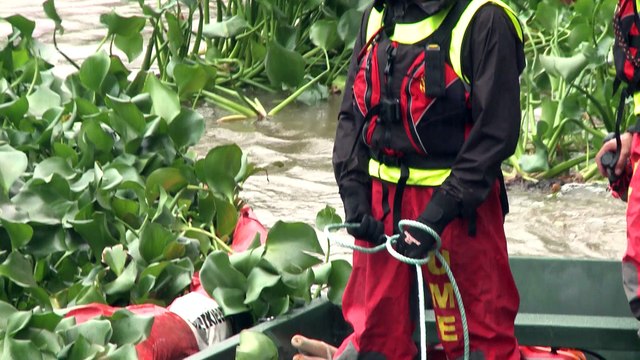 Comienzan los trabajos para eliminar el camalote del río Guadiana