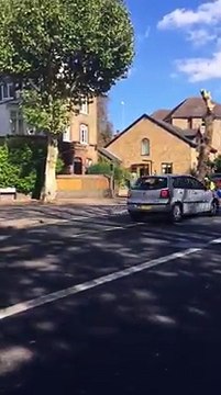 Un cycliste évite de justesse la chute dun tronc darbre