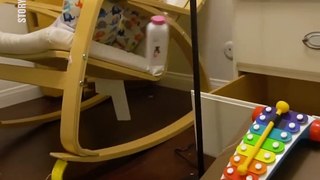 These soon to be parents spent 3 days setting up a Rube Goldberg Machine throughout their entire house to announce the gender of their baby… 
