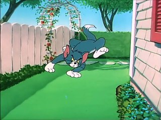 Tom and Jerry, 60 E - Slicked-up Pup (1951)