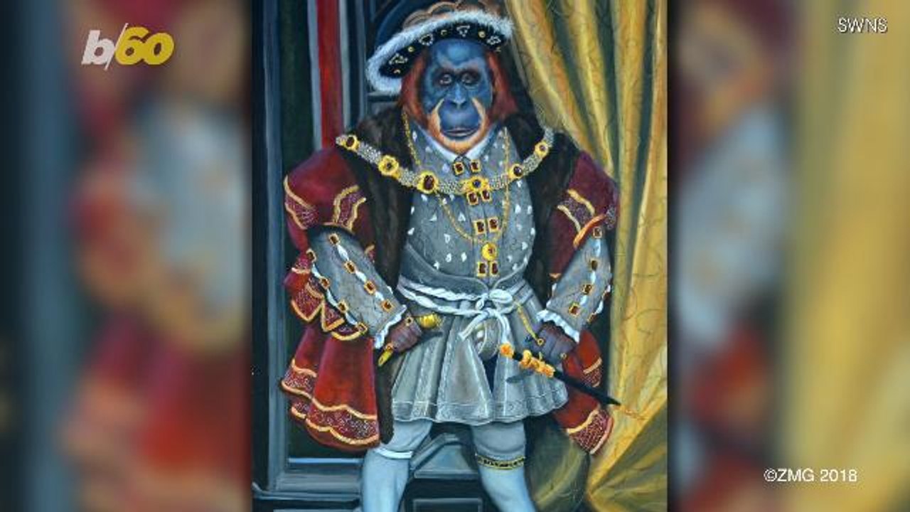 Go Ape Over These Iconic Paintings Recreated with Monkey Faces