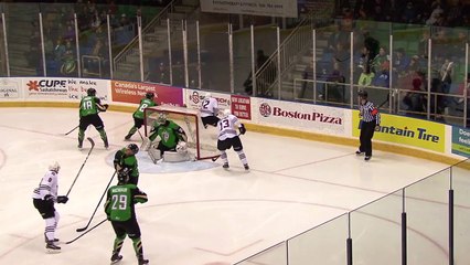 WHL Red Deer Rebels at Prince Albert Raiders