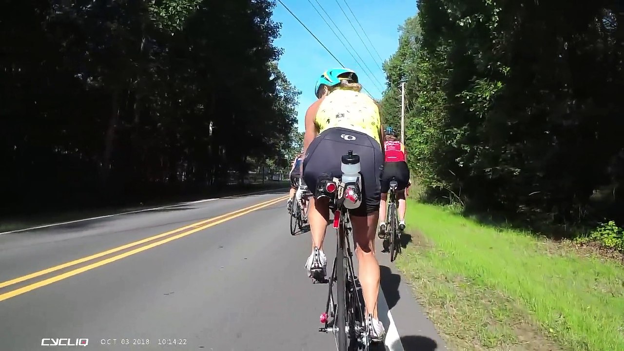 Un cerf percuté par une voiture