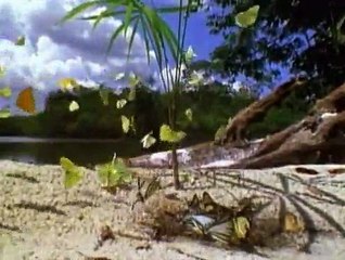 Baby Einstein 22BE BABY VANGOGH