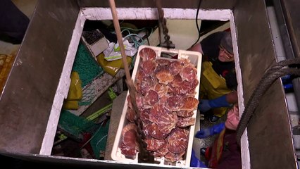 "Fears and hopes" among French fishermen as Brexit looms