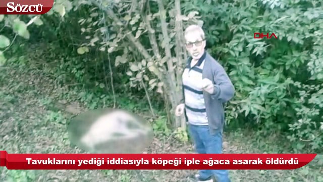Tavuklarını yediği iddiasıyla köpeği iple ağaca asarak öldürdü
