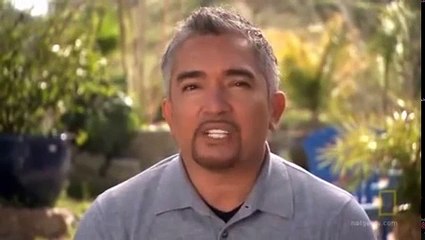 Dog Whisperer With Cesar Millan S05E14