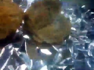 Mobile Capture Oct 5, 2018