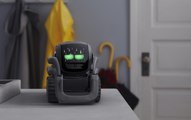 Anki Vector, el mini robot adorable que charla contigo, te hace fotos y se auto recarga