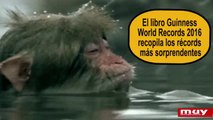 Récords curiosos del mundo animal