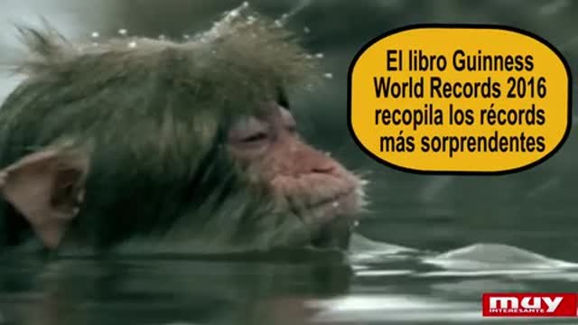 Récords curiosos del mundo animal