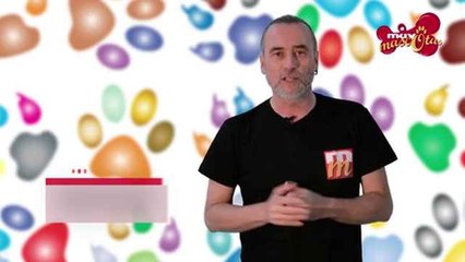 ¡Llega un bebé! Consejos para que el perro se lleve bien con él
