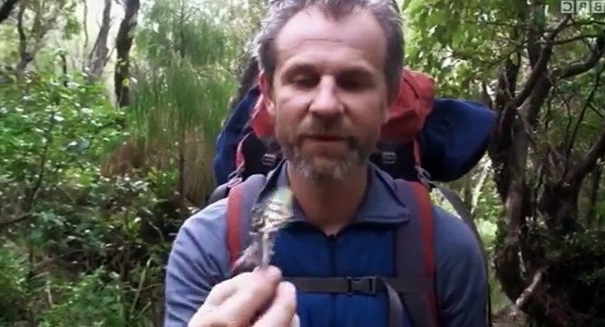 New Zealand Earth’s Mythical Islands S01 - Ep03 New Arrivals -. Part 02 HD Watch