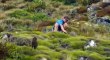 New Zealand Earth’s Mythical Islands S01 - Ep02 Wild Extremes -. Part 02 HD Watch