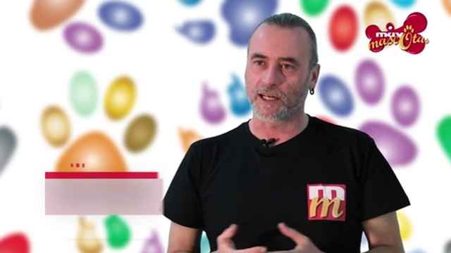 Cómo evitar que el perro le tenga celos al bebé