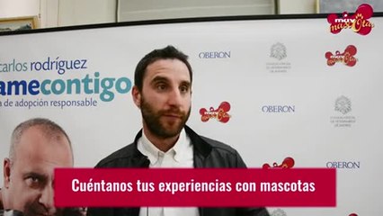 ¿Qué prefiere Dani Rovira, perros o gatos?