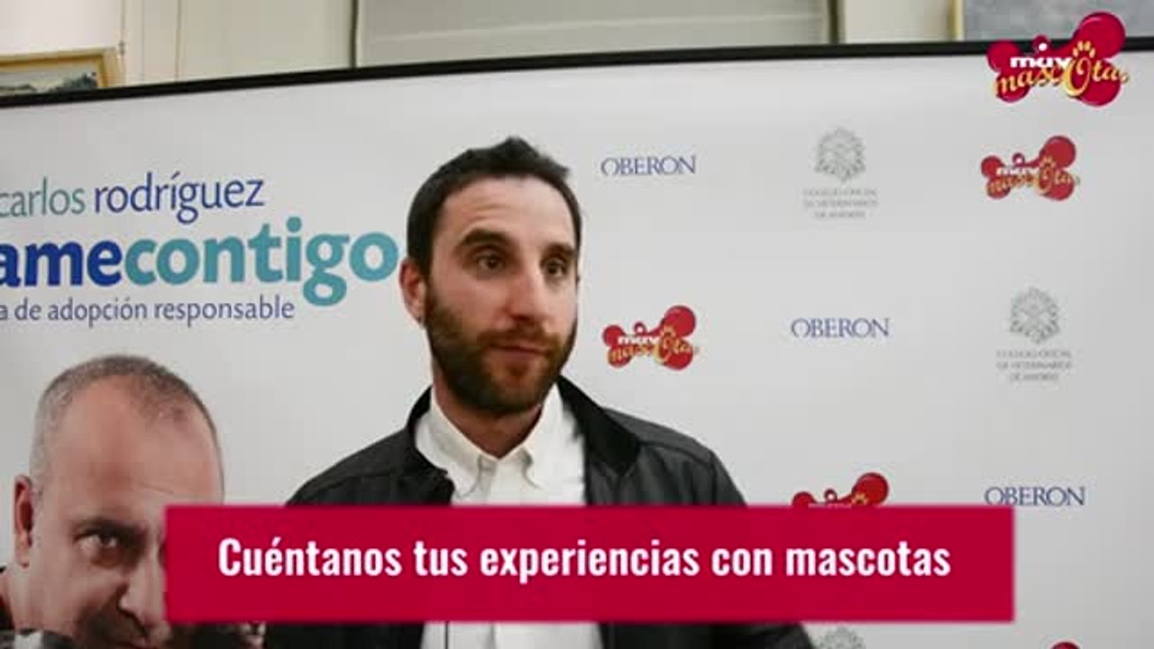¿Qué prefiere Dani Rovira, perros o gatos?
