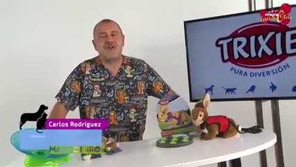 Juguetes para que los conejos hagan ejercicio