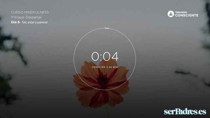 Mindfulness: Las emociones en el embarazo