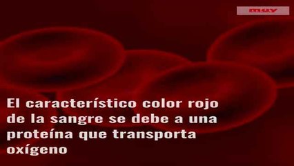SANGRE FALSA EN EL CINE