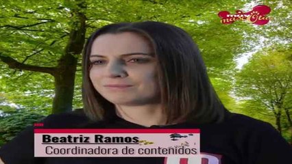 Cómo evitar que el niño le haga daño a la mascota