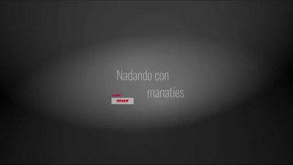 Nadando con manatíes