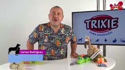 ¿Qué tipo de juguetes hay que darle al perro?