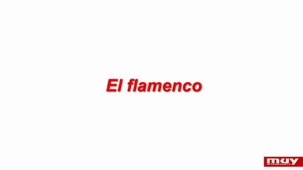 Patrimonio inmaterial