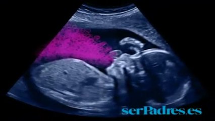 Vídeo. El bebé en el vientre materno. Semanas 21-24
