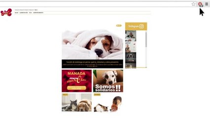Cómo desactivar AdBlock