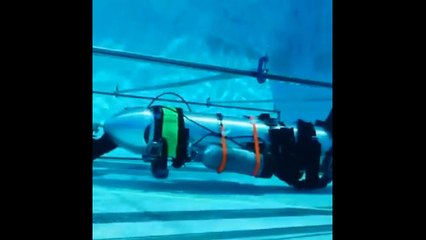 Cápsula de rescate Elon Musk