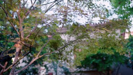 Because of Meeting You E 46 ( ENGSUB - INDOSUB )